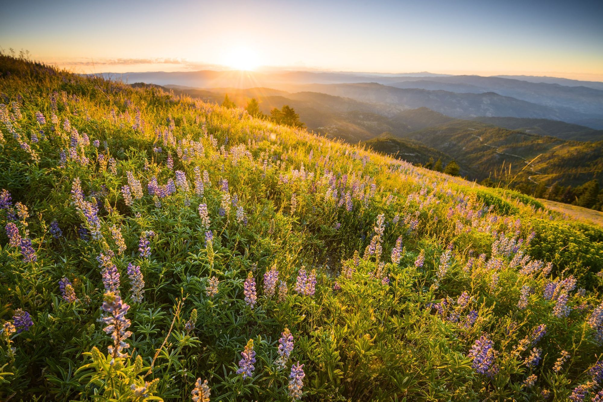 Scenic Eastern Idaho property — Chris Schmalz Real Estate Group