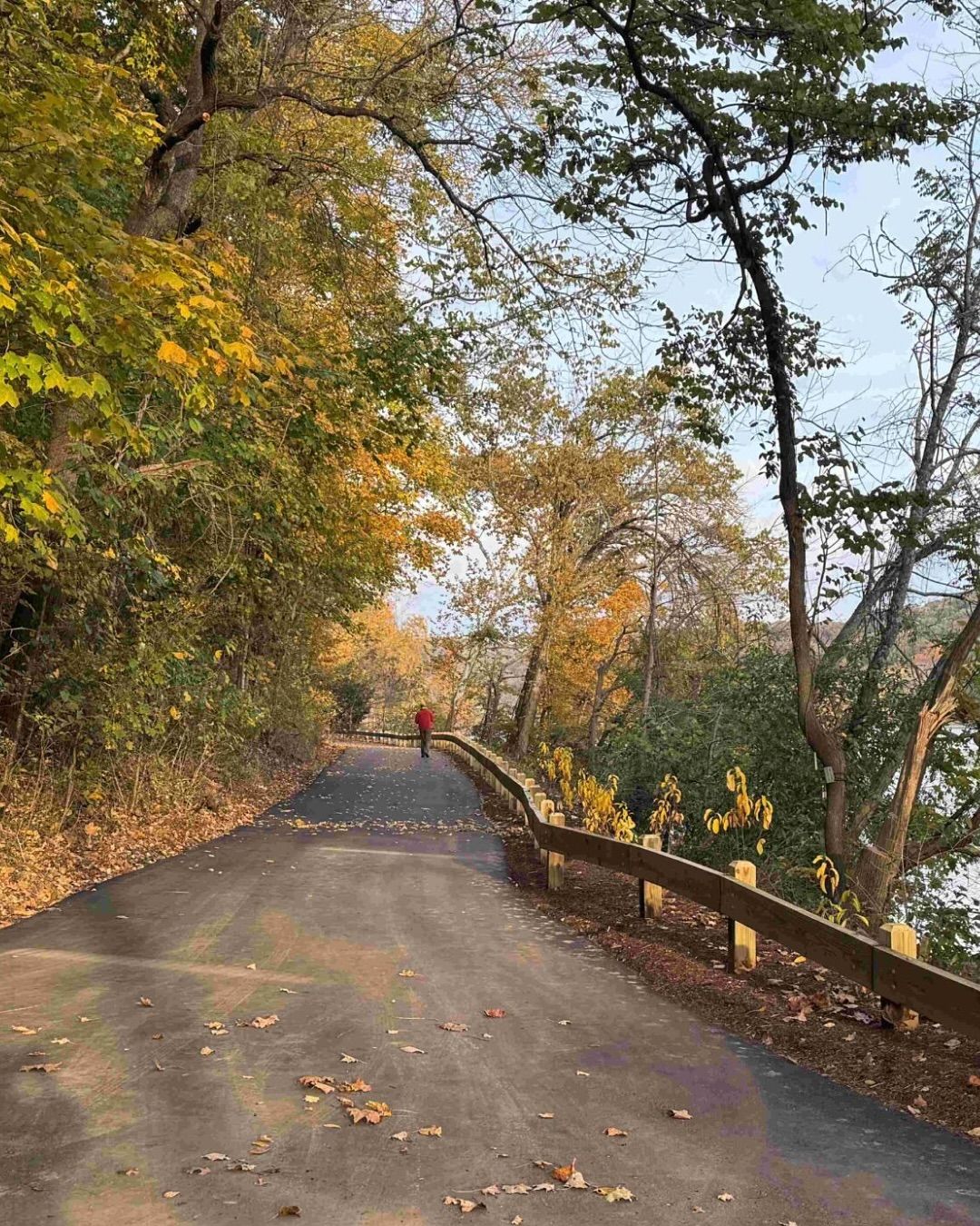 Scenic autumn trail with colorful fall foliage, a person walking in the distance, and a safety wooden guardrail along the paved pathway.