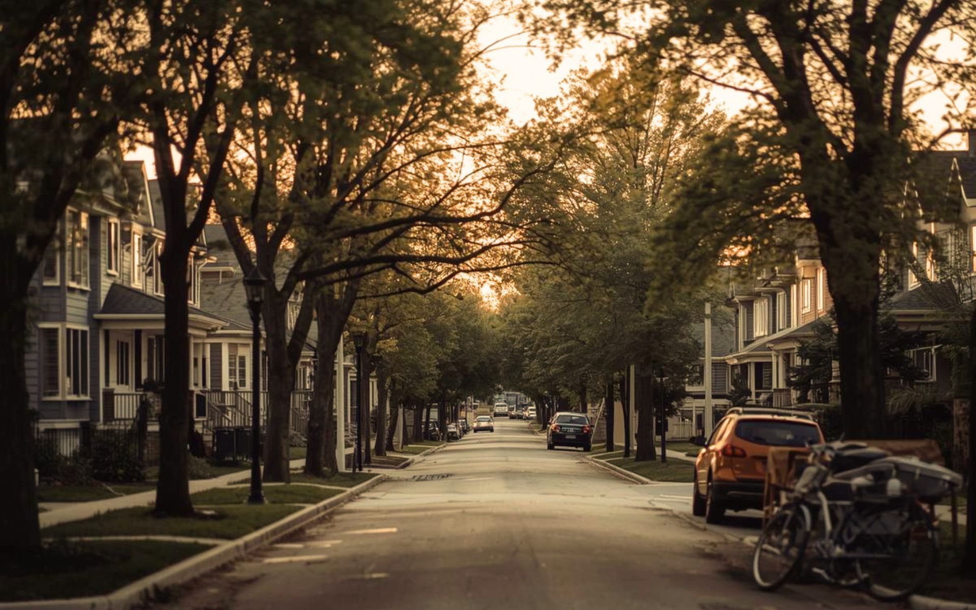 Tree-lined residential street in inner-city Calgary with character homes and mature trees