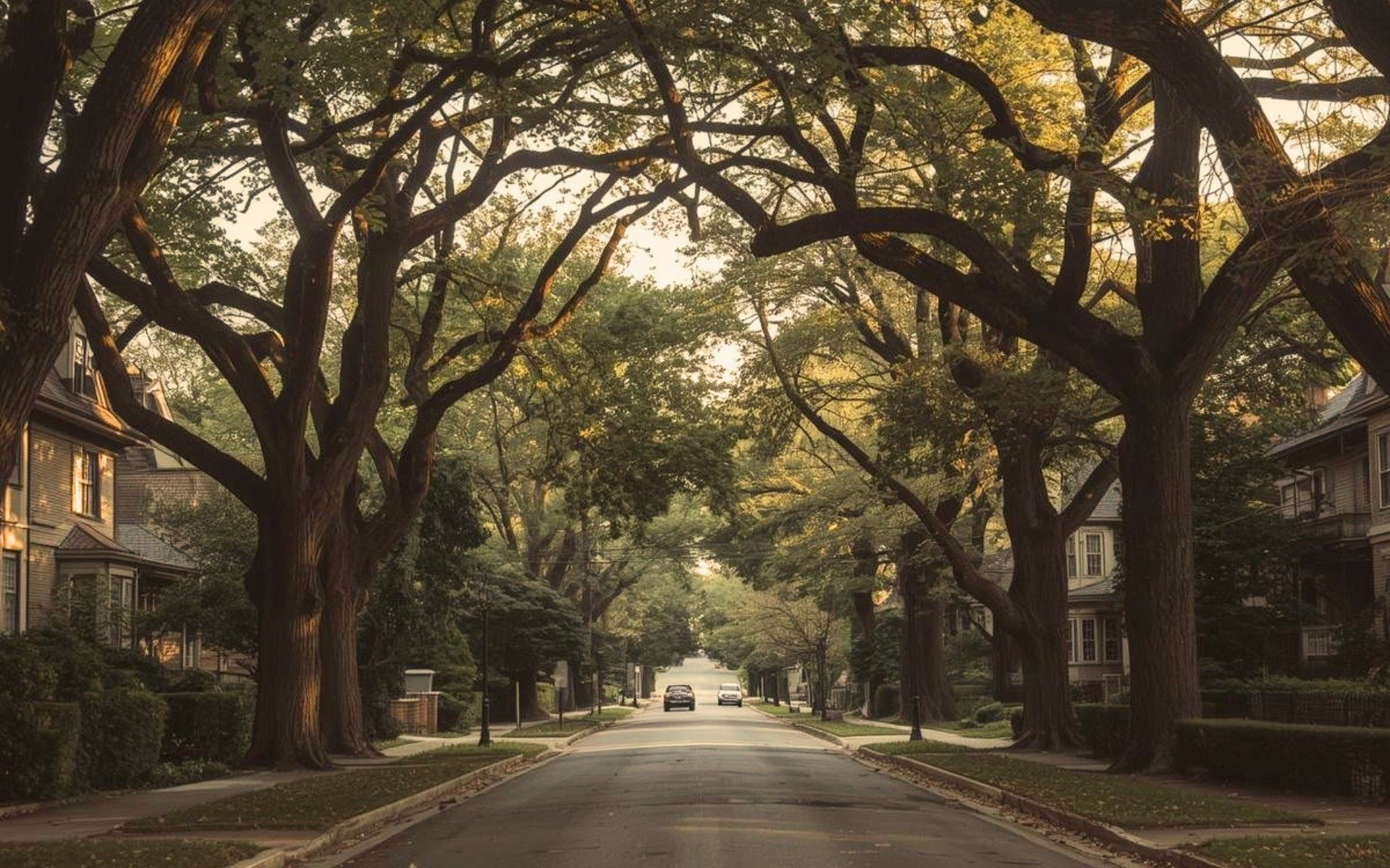 Tree-lined residential street in Elbow Park Calgary with mature trees and estate homes near the Elbow River