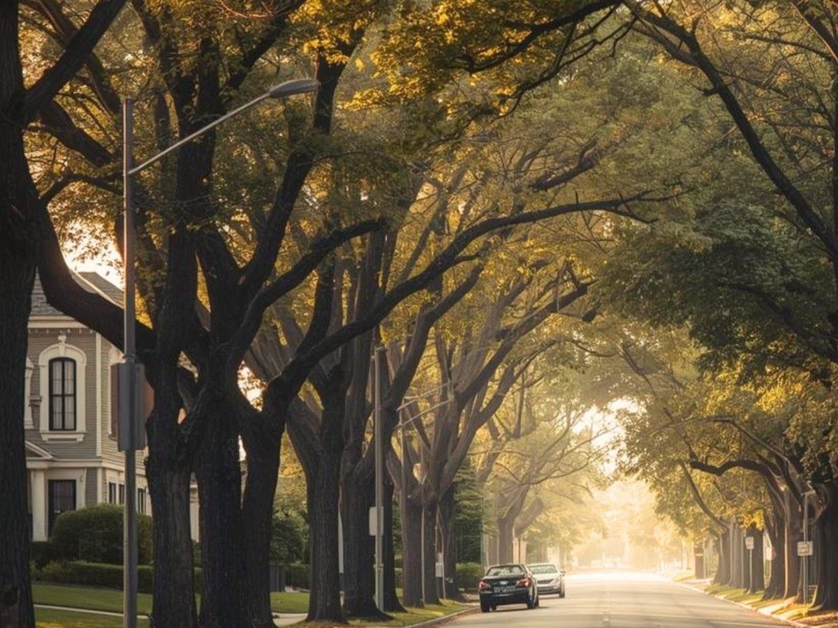 Mount Royal Calgary residential street with mature trees and estate homes in a quiet inner-city setting