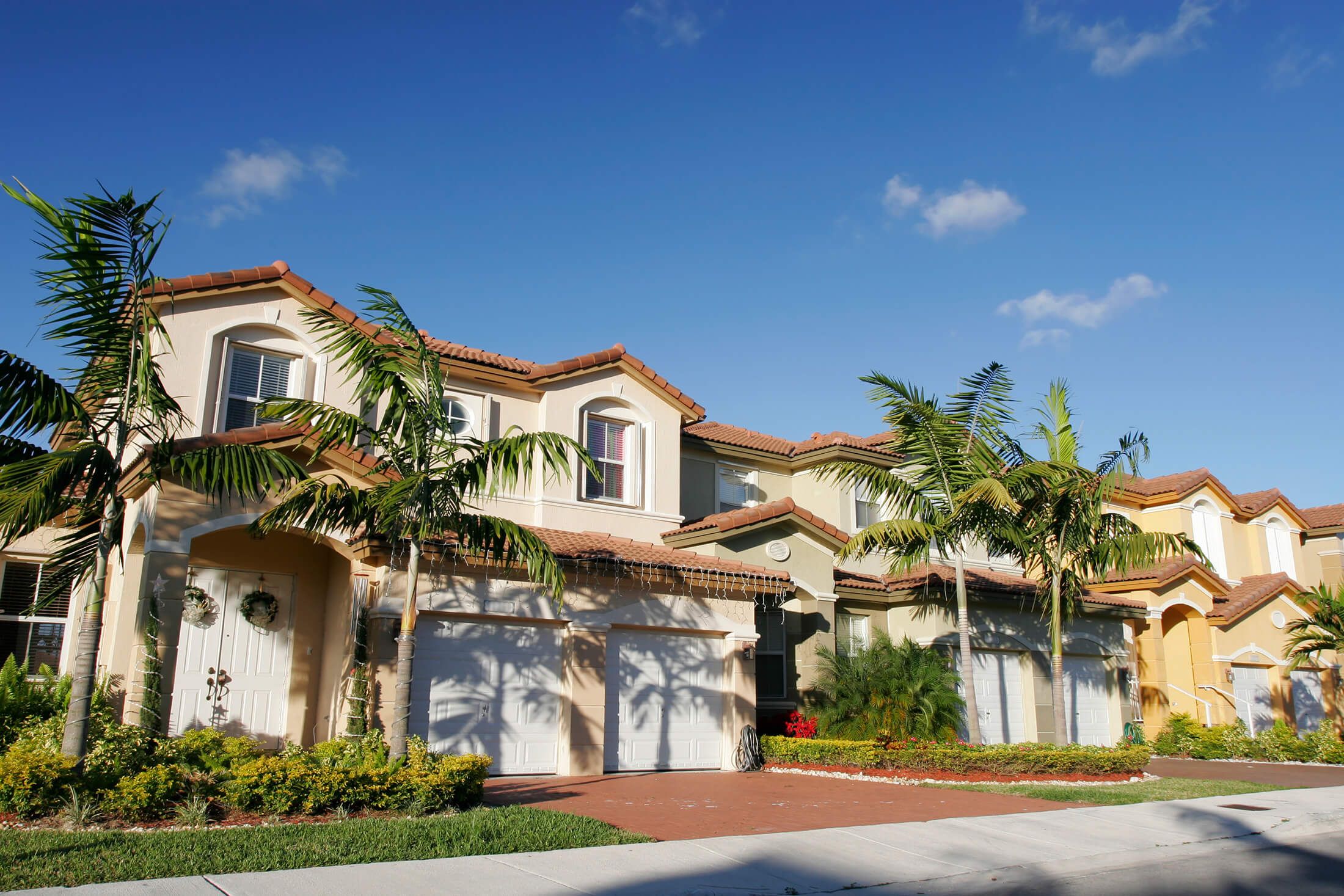 palm tree townhomes