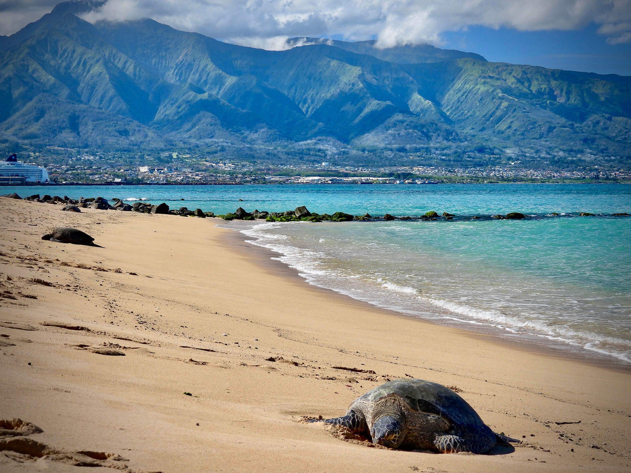 team photo in industrial office