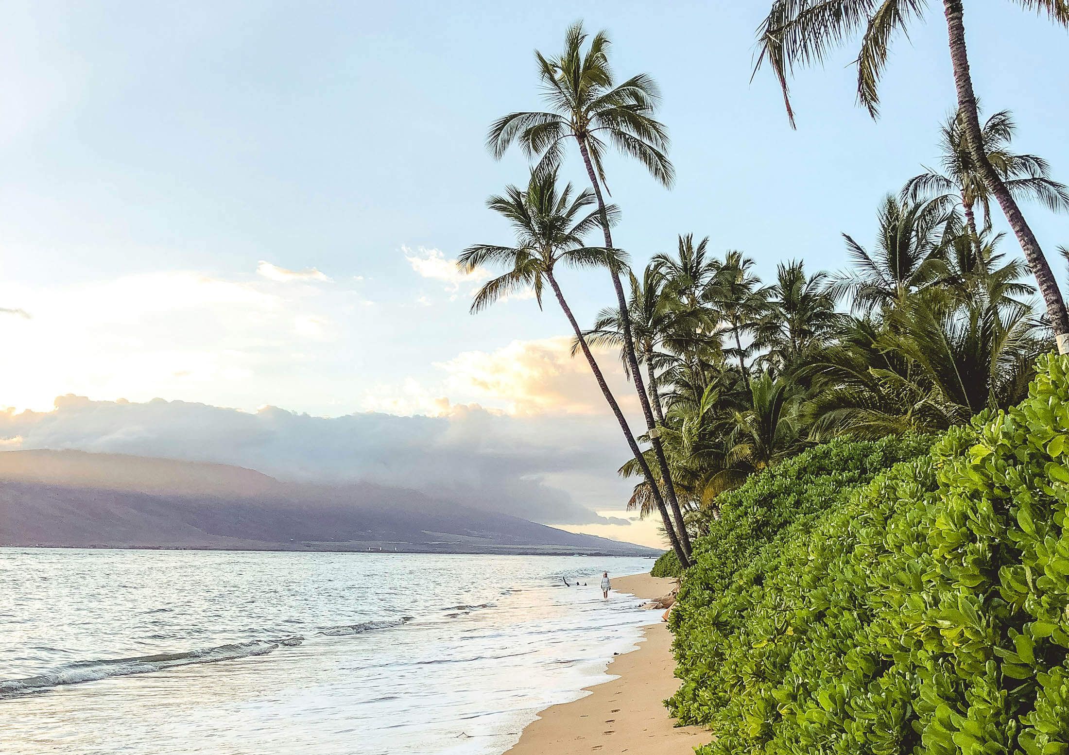 team photo in industrial office