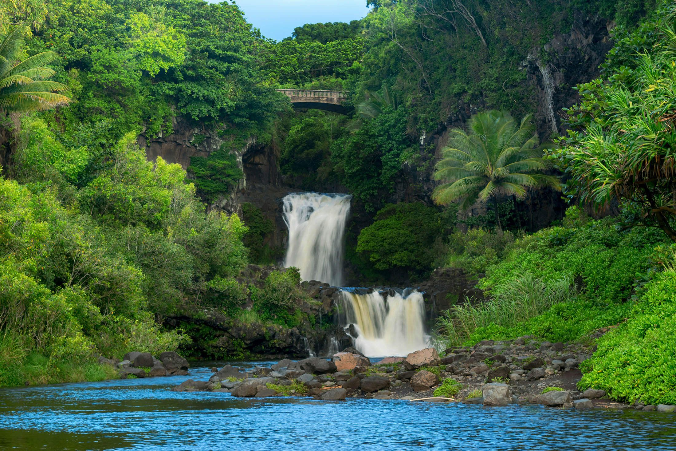 team photo in industrial office