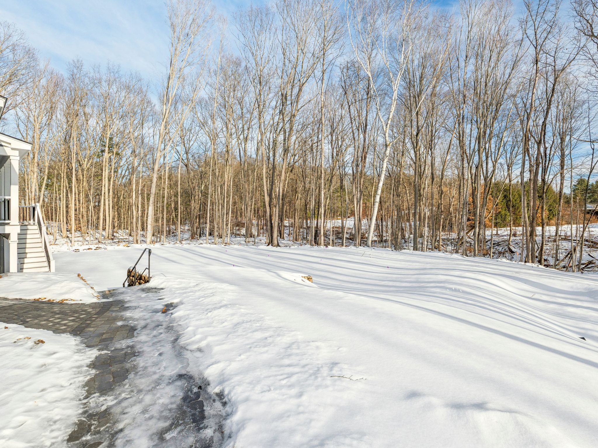 Snow-covered backyard with leafless trees and a clear blue sky during winter day
