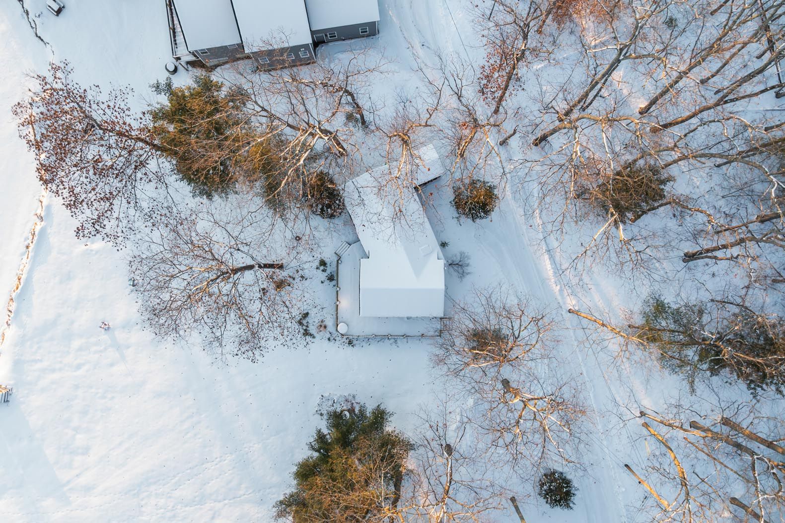 Scenic lakeside view with green grass, trees, boats on the water, and a clear blue sky on a sunny day.
