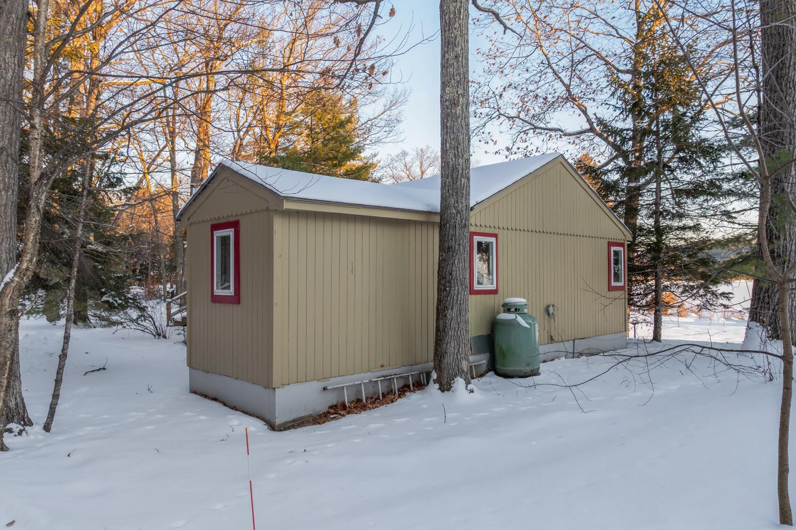 Aerial view of lakeside property with two houses, a dock extending into the water, lush green lawn, mature trees, and an American flag on a pole.