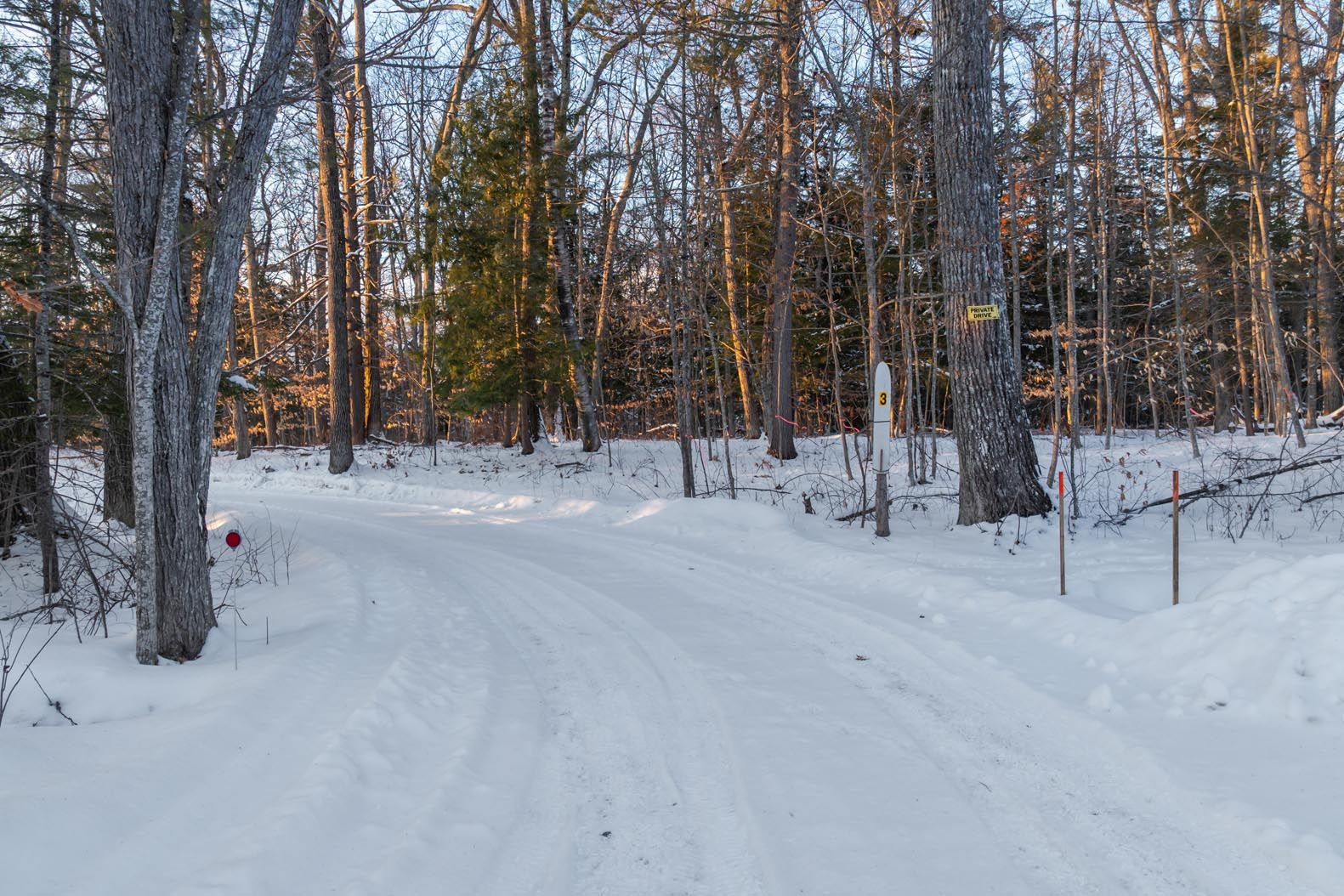 Quiet lakeside scene with colorful Adirondack chairs, a wooden dock, calm water, and lush green trees under a clear blue sky