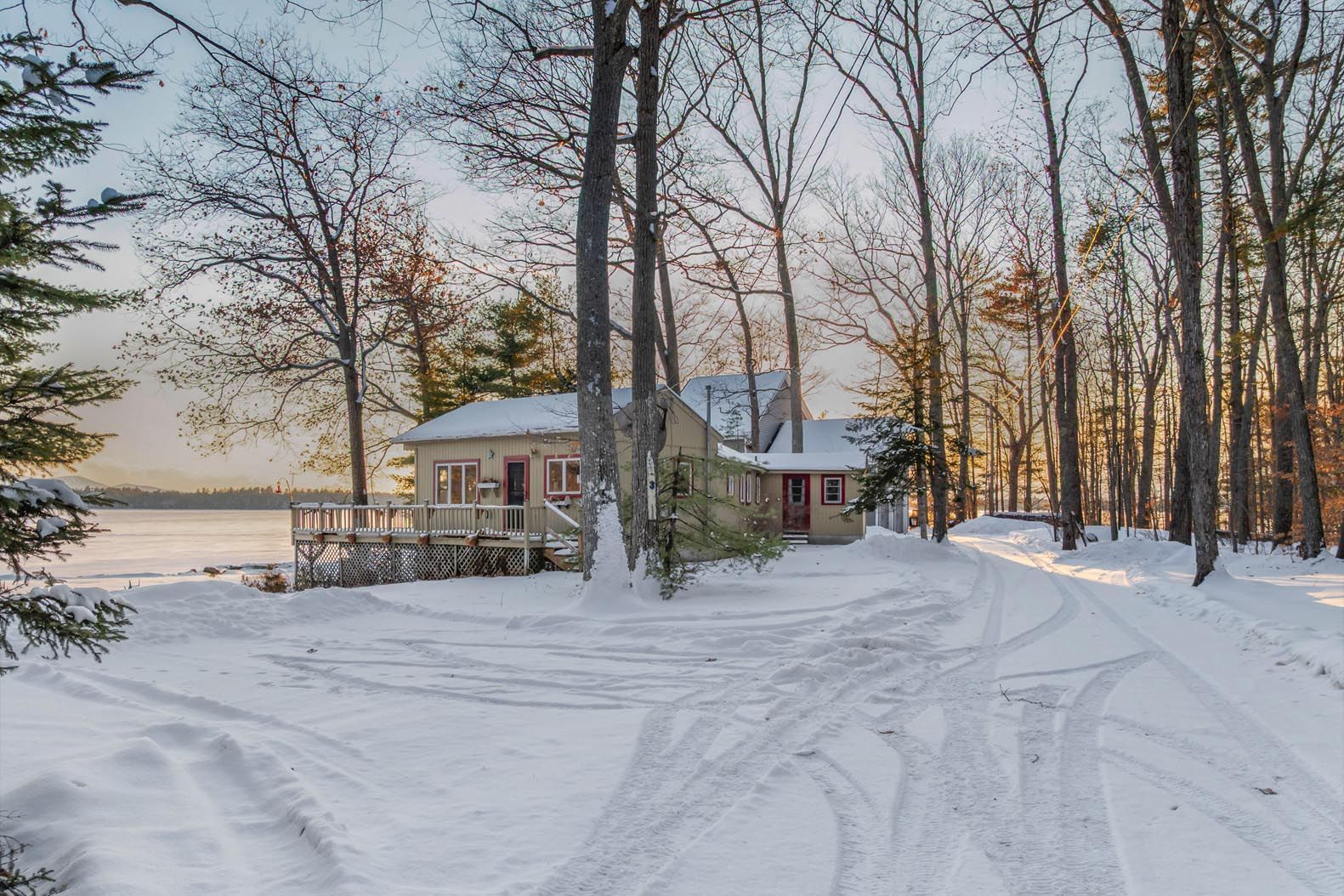 Campfire with logs in the woods near a lake, surrounded by tall trees and a house in the background.