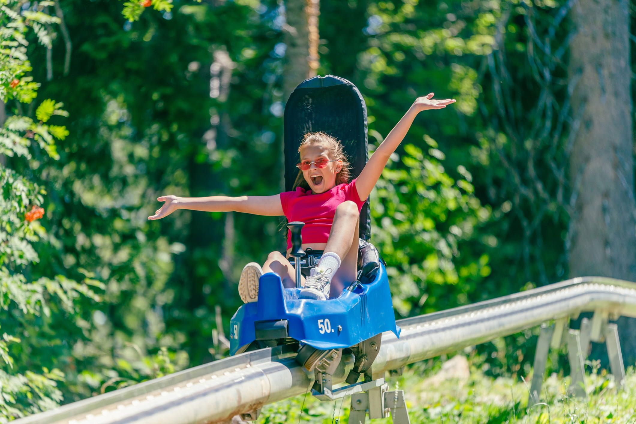 Mountain coaster