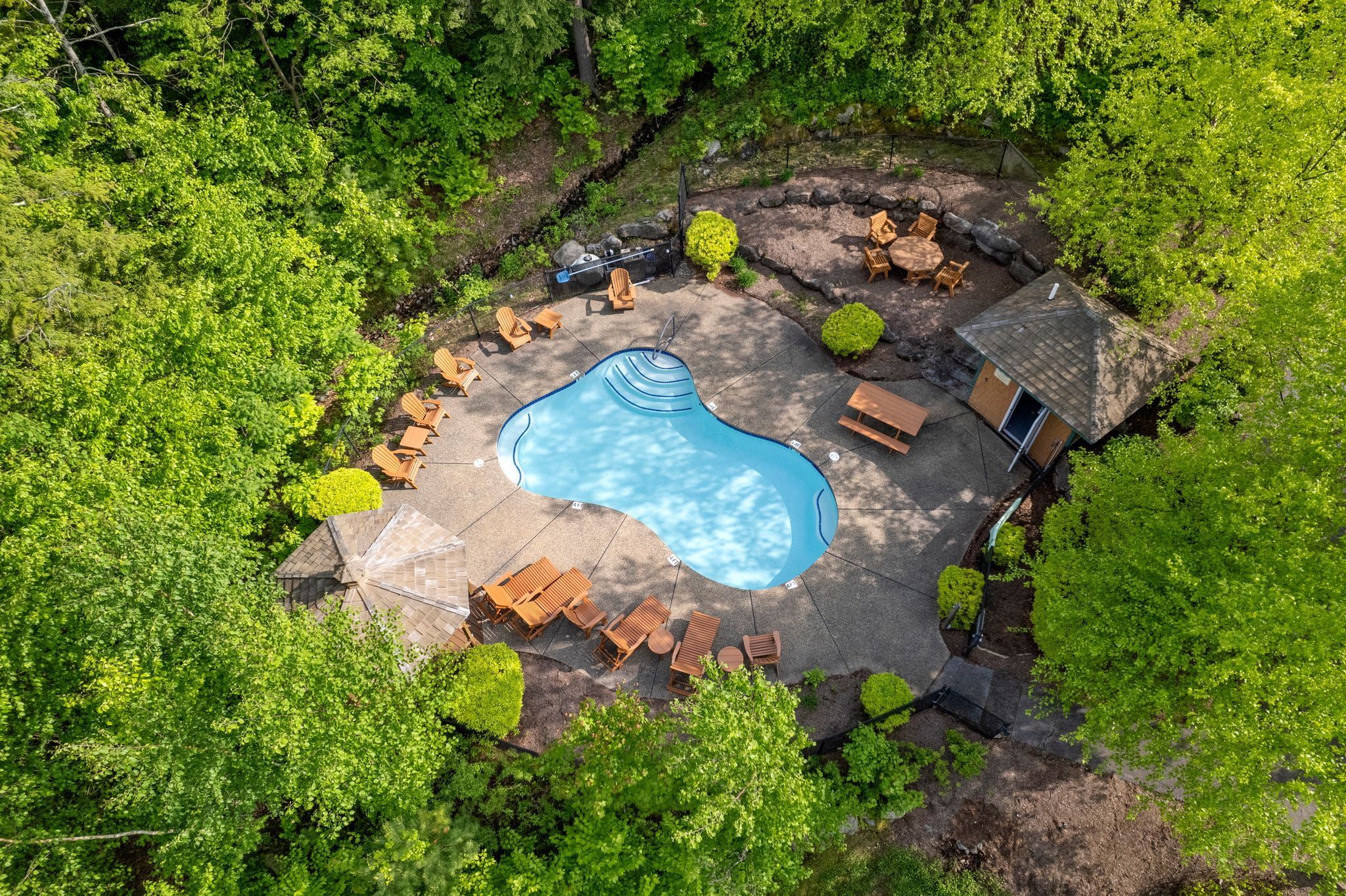 Bright dining room with large windows overlooking green trees, wooden dining table with nine chairs and decorative potted plants, labeled Lake Winnipesaukee.
