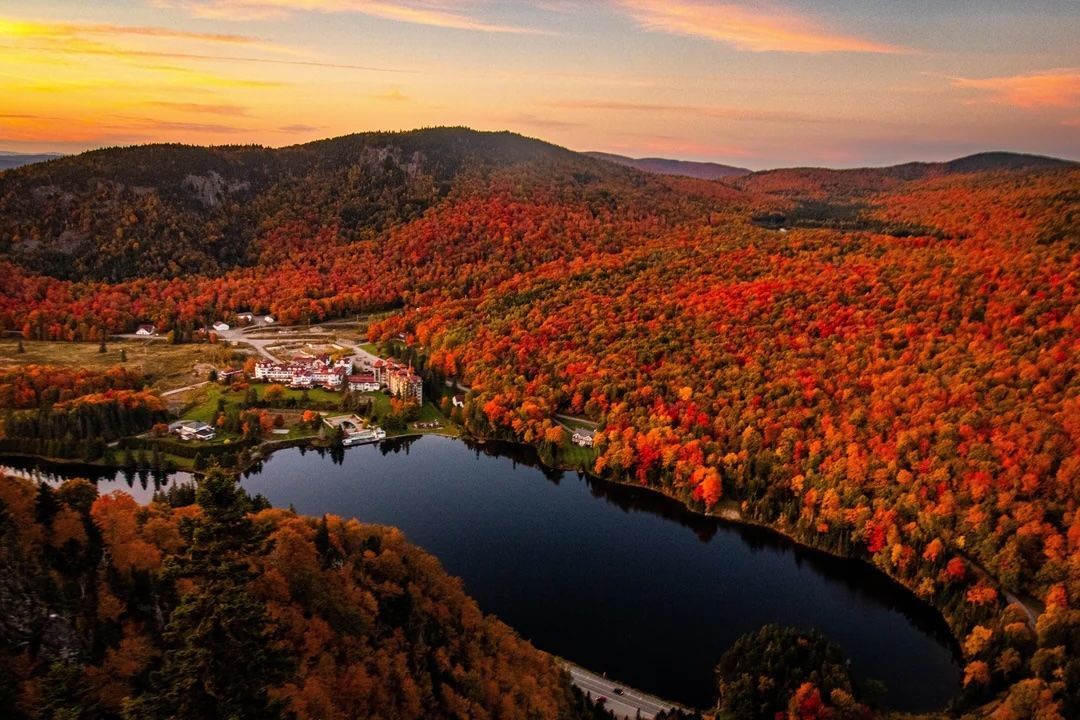 The great north woods in new hampshire