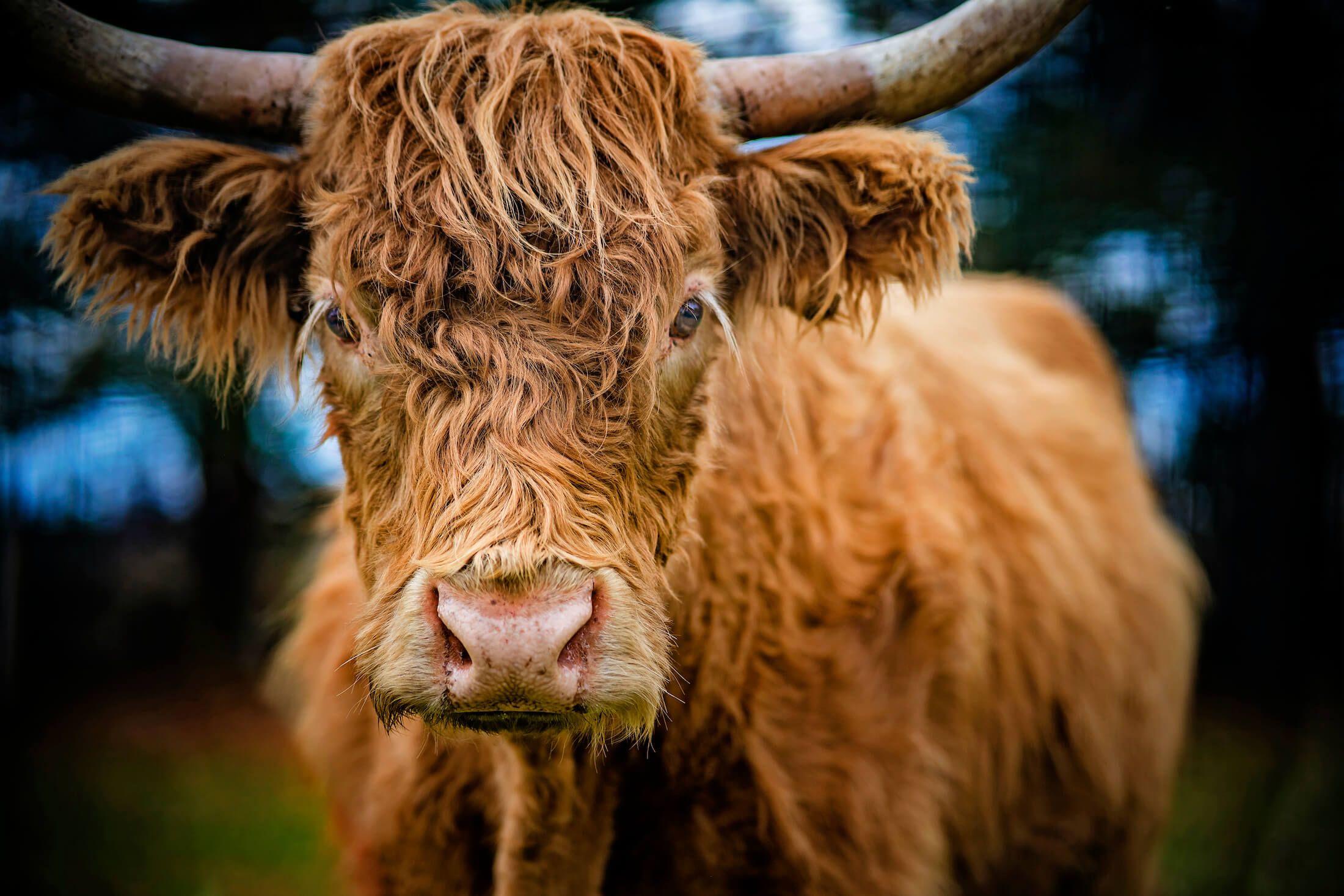 woman taking photo with camera