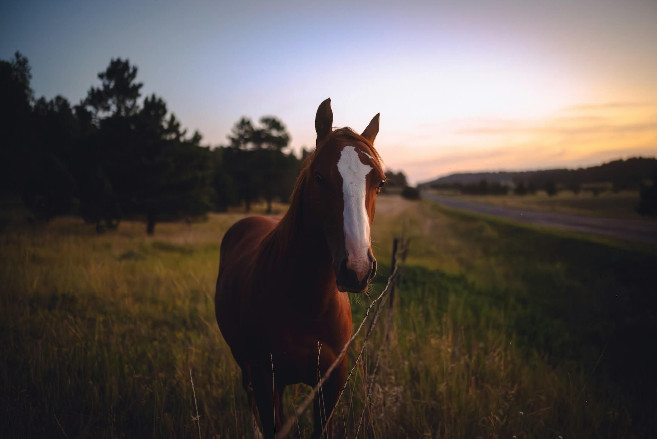 woman with glasses does paperwork by laptop