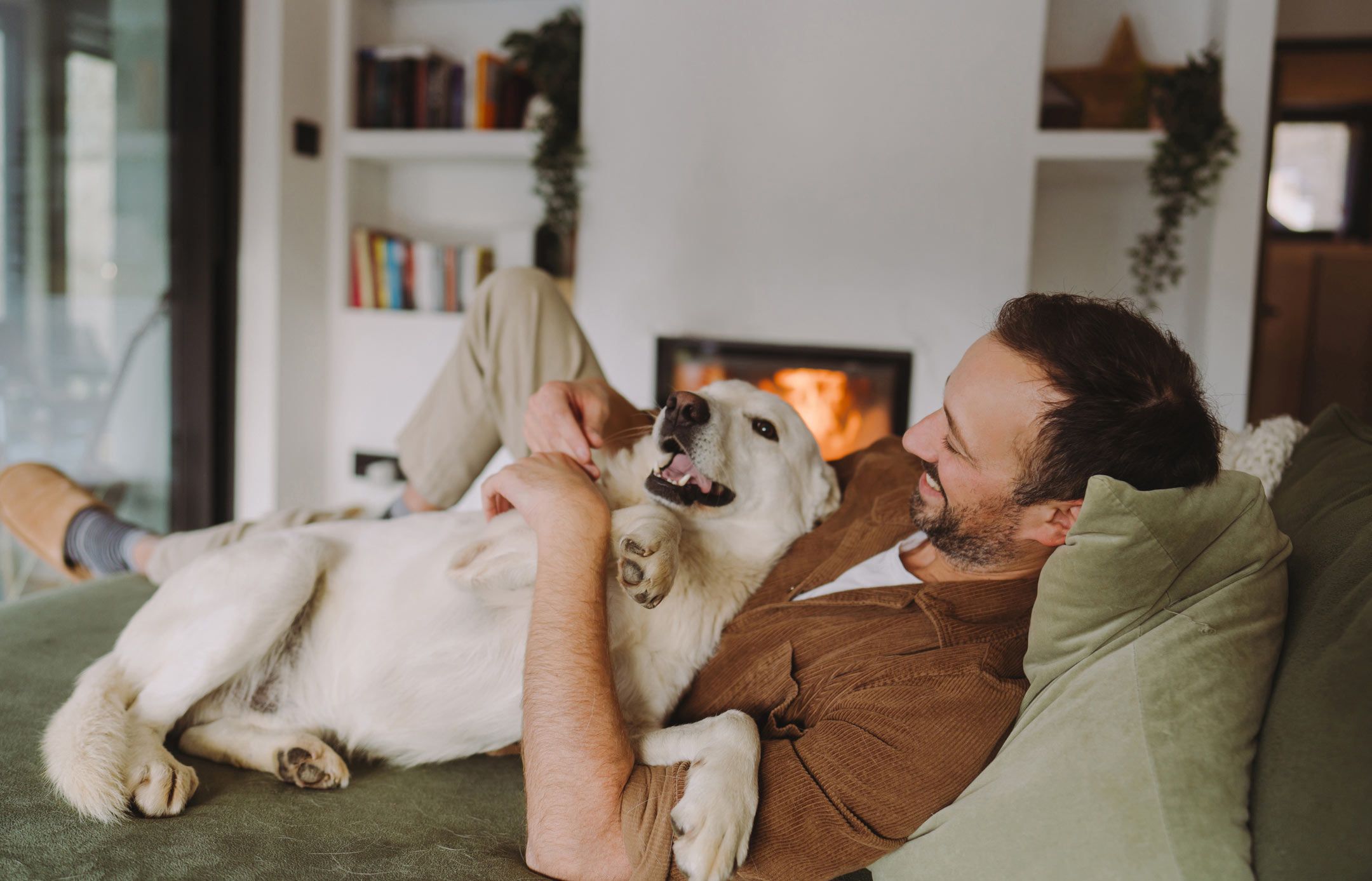 person holding cat while working at desk