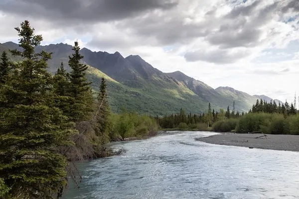 Scenic view of a river flowing through a lush green valley with evergreen trees, mountain range in the background, and a partly cloudy sky.
