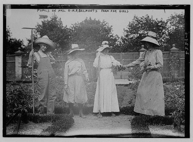 Belmonts Farm For Girls