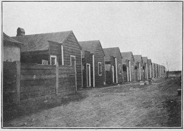 Negro Tenements 1909