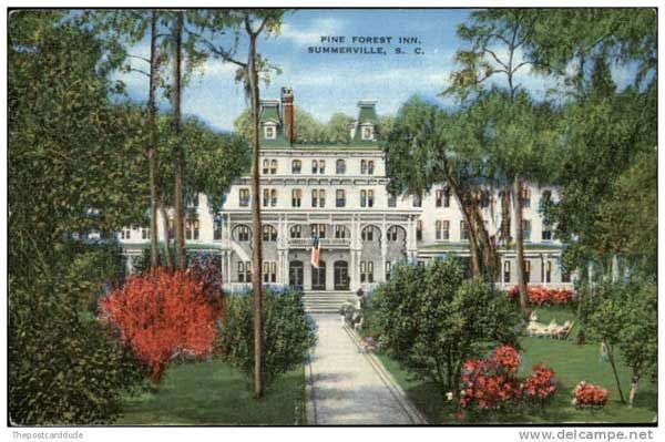 Pine Forest Inn