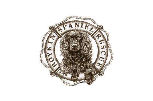 Boykin Spaniel Rescue logo