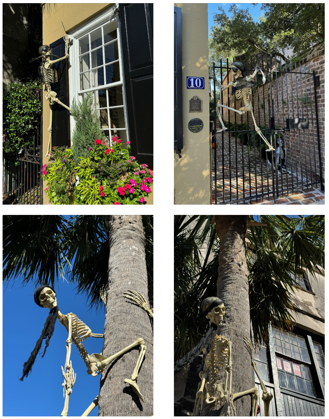 Halloween Decorations