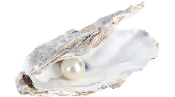 pearl inside oyster shell