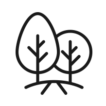 Line drawing of two trees with a path or ground beneath.