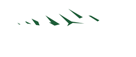 Buy and Sell Homes Real Estate