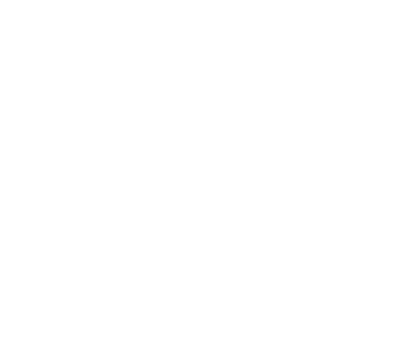 Home on the Sound Logo