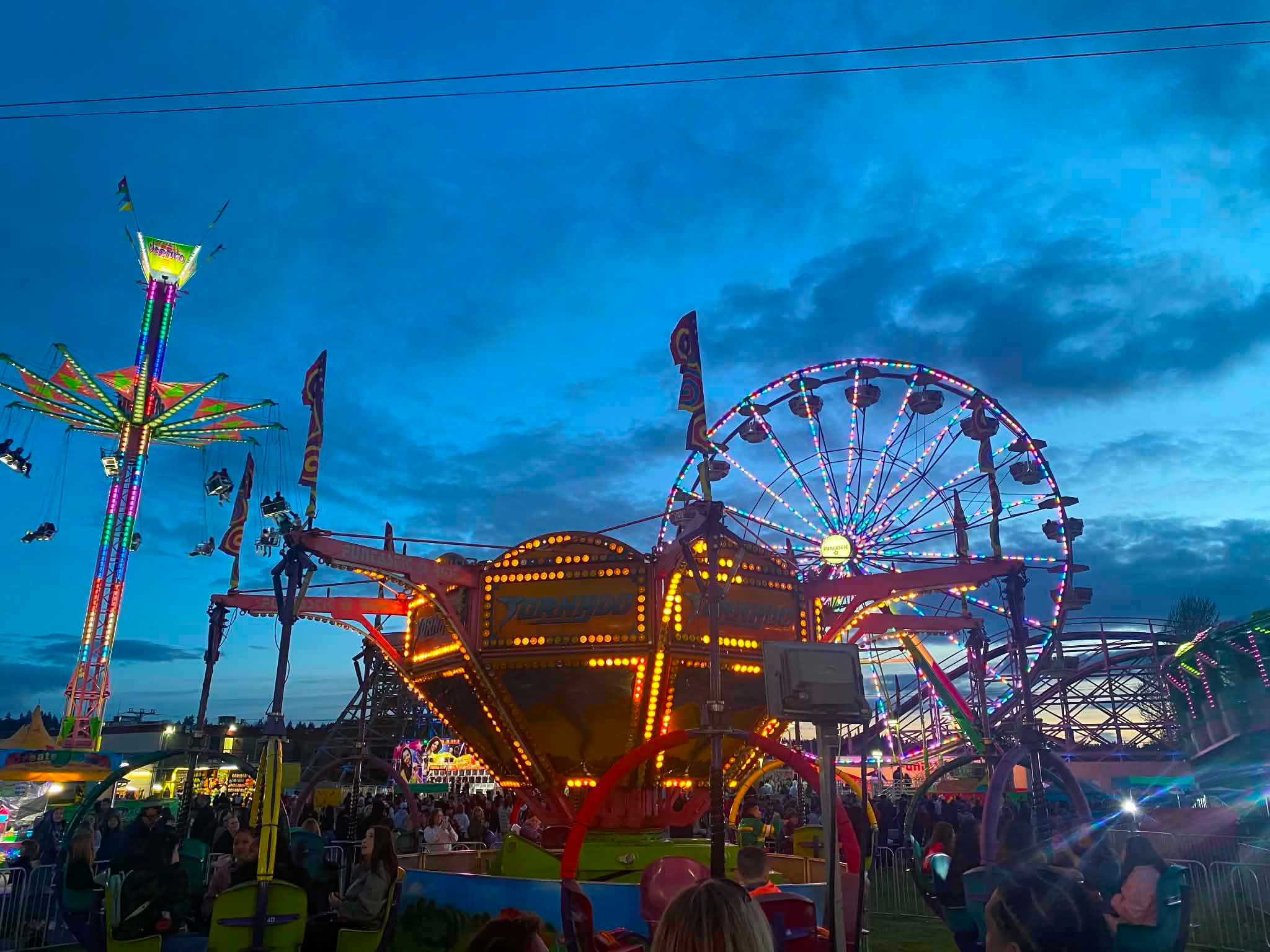 Ferris wheel lit up at night at the Washington State Fair in Puyallup