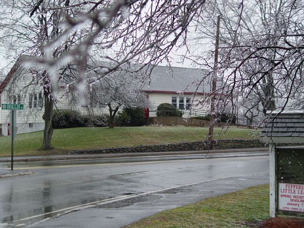 Snow-covered trees and a residential house on a wet street during winter weather