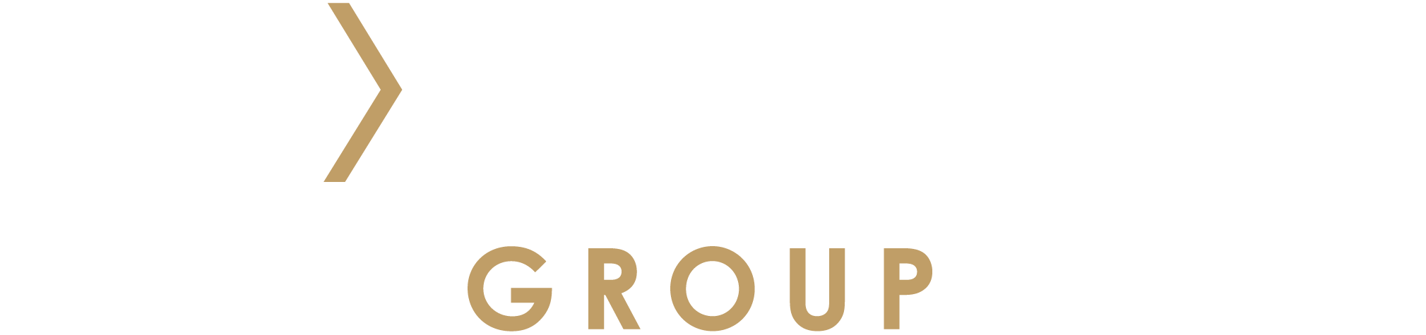 Next Level Group Logo