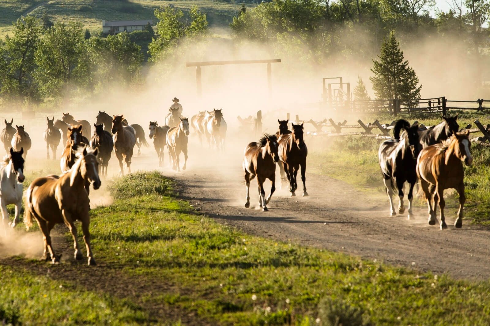 Couple cuddles on couch