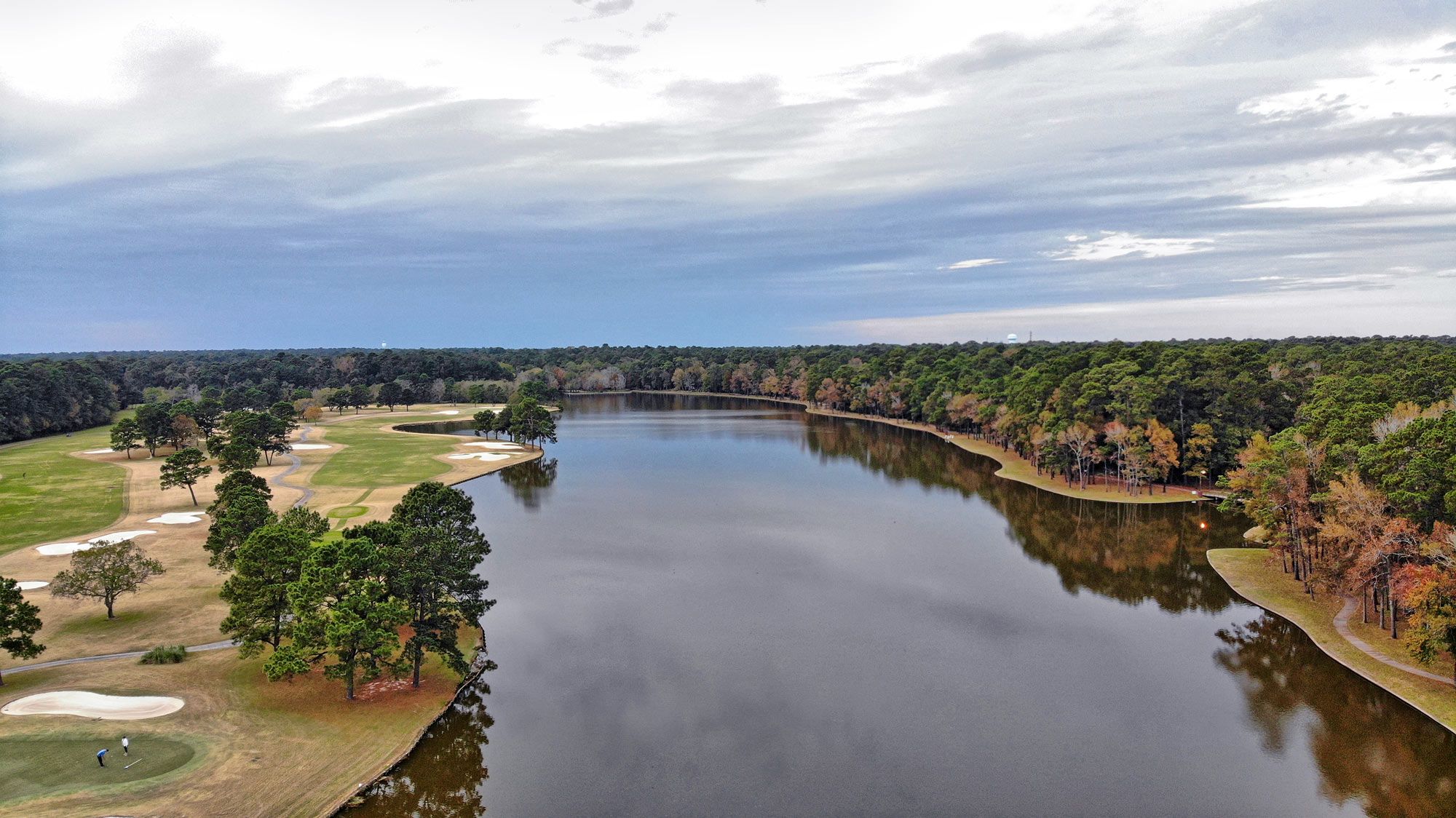 Kingwood