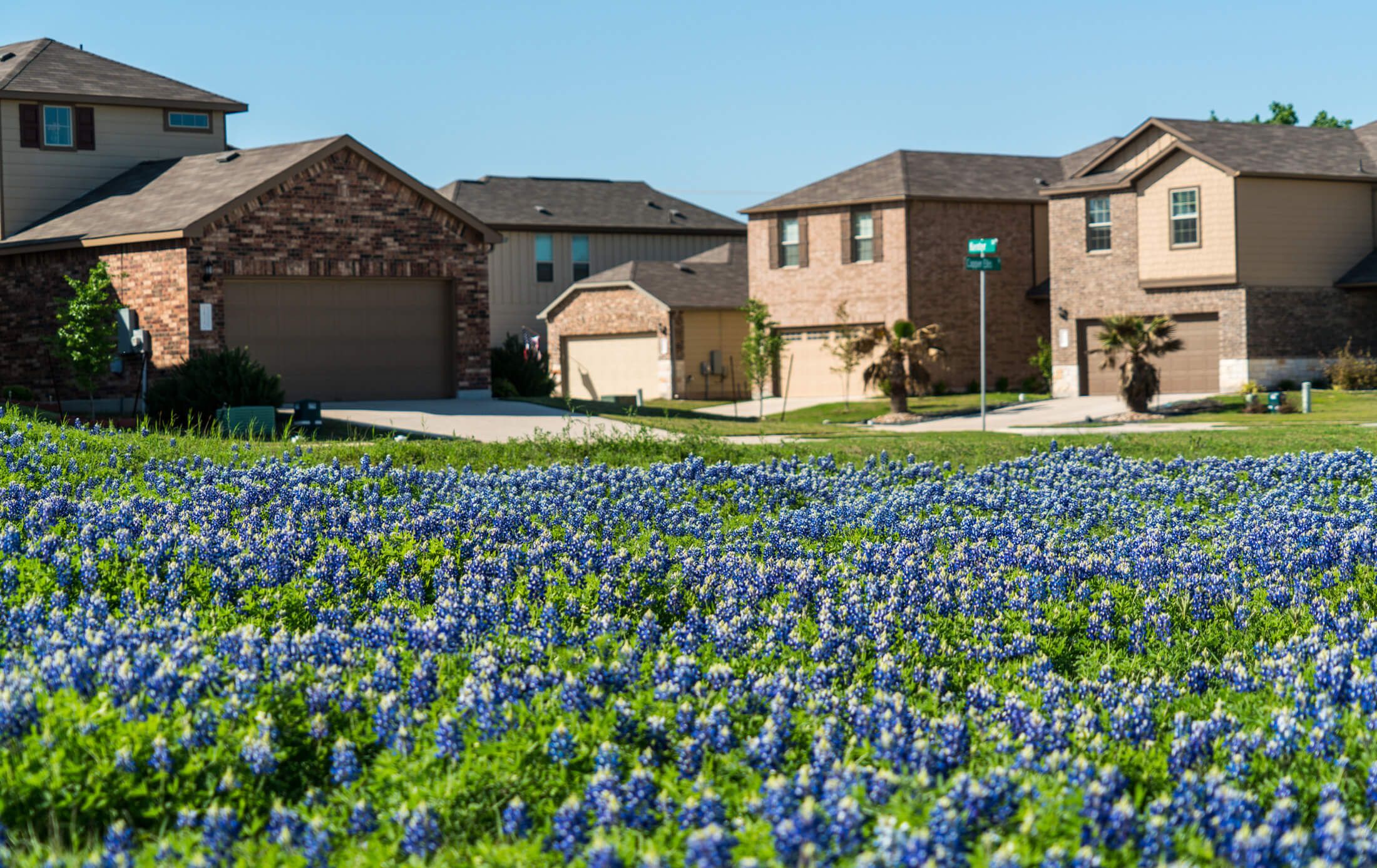 The Heights, TX